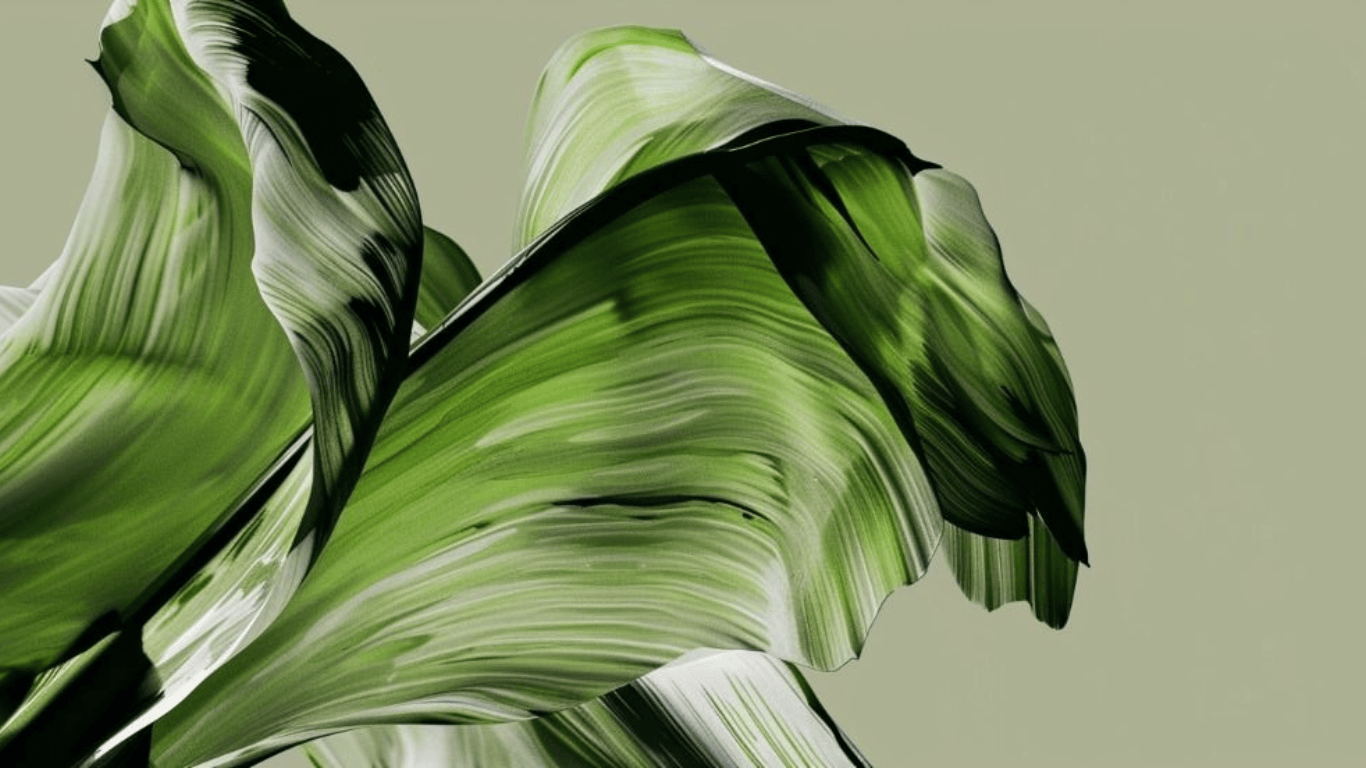 Nuage — Ayurvedic Wellness